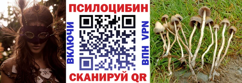omg сайт  Назарово  Псилоцибиновые грибы ЛСД  продажа наркотиков 