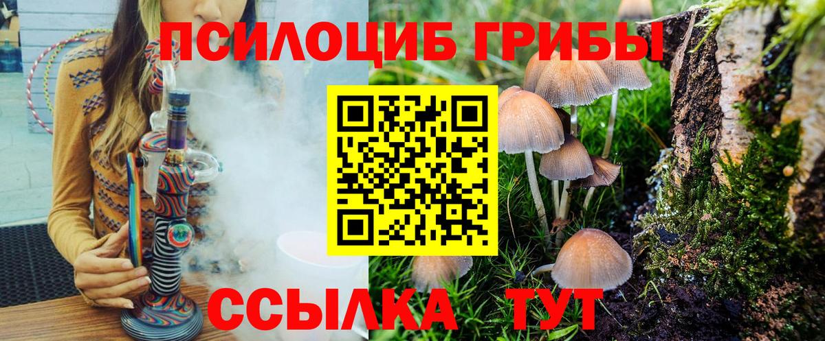 купить наркотики цена  Псилоцибиновые грибы мицелий  Псилоцибиновые грибы MAGIC MUSHROOMS  Вход с VPN  Назарово 