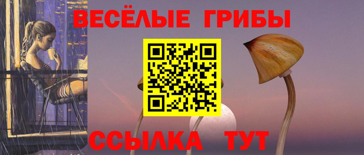 Галлюциногенные грибы GOLDEN TEACHER Назарово